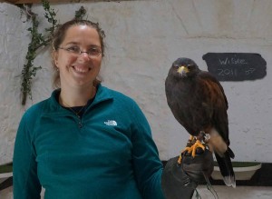 Ireland's School of Falconry